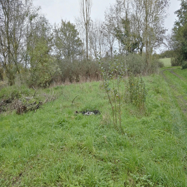 Offres de vente Terrain Le Bignon 44140